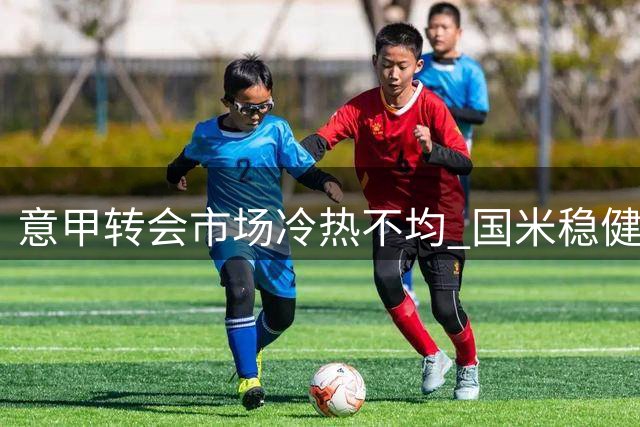 意甲转会市场冷热不均 国米稳健建队思路获名宿力挺